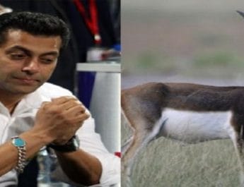 काला हिरण शिकार मामले में कोर्ट सलमान खान से नाराज, कहा- खारिज कर दी जाएगी जमानत 5 Hello Uttarakhand News »