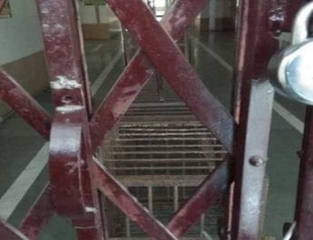 उत्तराखंडः 24 घंटे बाद भी मेडिकल कॉलेज से बाहर नहीं निकला गुलदार, मेडिकल कॉलेज बंद 3 Hello Uttarakhand News »