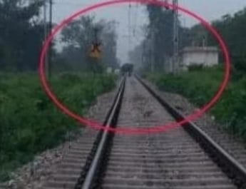 उत्तराखंड में अचानक ट्रेन के रास्ते में आया हाथी, मची भगदड़ 4 Hello Uttarakhand News »