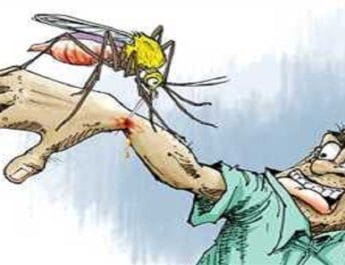 स्वास्थ्य विभाग की डेंगू मरीजों के आंकड़े नहीं विश्वसनीय, कई अधिक हो सकती मरीजों की संख्या 3 Hello Uttarakhand News »