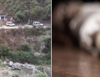 उत्तराखंडः स्कूल से घर लौट रही छात्रा खाई में गिरी, मौत से परिजनों में मचा कोहराम 2 Hello Uttarakhand News »