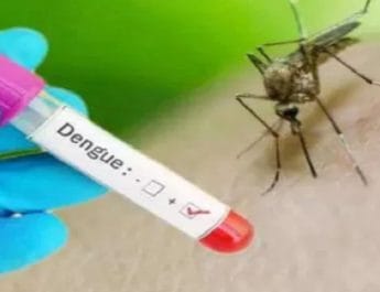 उत्तराखंड: पुलिस चौकियों में भी डेंगू का कहर, छह सिपाहियों में डेंगू की पुष्टि 5 Hello Uttarakhand News »