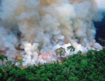 पिछले कुछ हफ़्तों से धधक रहे अमेजन के जंगल, दक्षिणी अमेरिका के 9 देशों के आसमान पर मंडरा रहा है जहरीला धुआं 2 Hello Uttarakhand News »