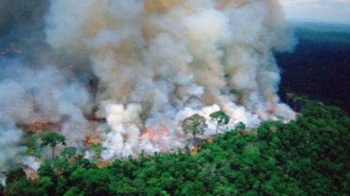 पिछले कुछ हफ़्तों से धधक रहे अमेजन के जंगल, दक्षिणी अमेरिका के 9 देशों के आसमान पर मंडरा रहा है जहरीला धुआं 1 Hello Uttarakhand News »