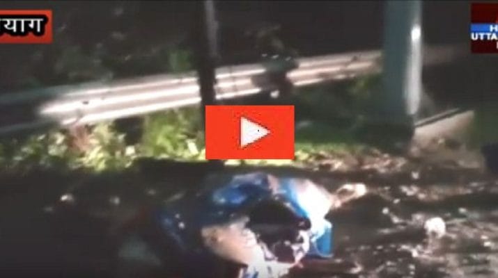 बिजली विभाग की बड़ी लापरवाही, करंट लगने से बेजुबान की दर्दनाक मौत 1 Hello Uttarakhand News »