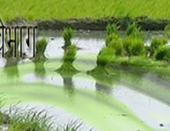 उत्तराखंड को मिला 'कृषि कर्मा अवार्ड', पुरस्कार स्वरुप मिलेगी इतनी राशि.. 4 Hello Uttarakhand News »