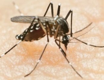 देहरादून के इस स्कूल में डेंगू के ख़ौफ़ से 20 सितंबर तक अवकाश घोषित 3 Hello Uttarakhand News »