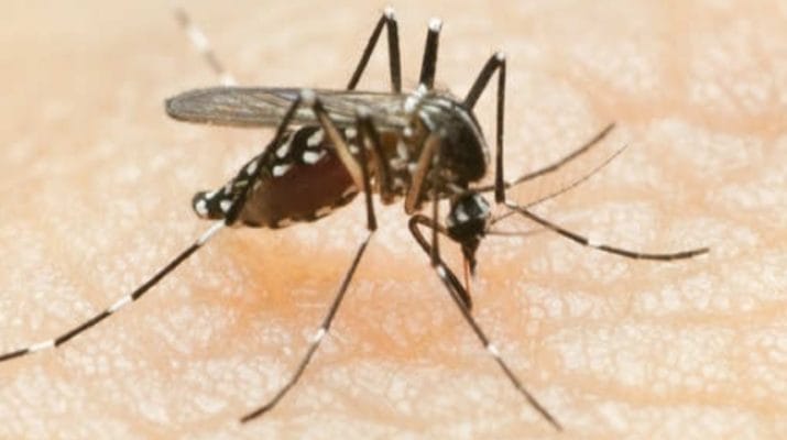 देहरादून के इस स्कूल में डेंगू के ख़ौफ़ से 20 सितंबर तक अवकाश घोषित 1 Hello Uttarakhand News »