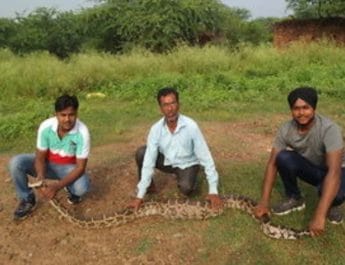 घर में घुसा 12 फीट का अजगर,लेब्राडॉर डॉग को निगला, मचा हड़कंप 3 Hello Uttarakhand News »