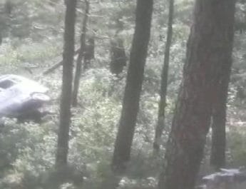 उत्तराखंड: टैंपो की टक्कर से खाई में गिरे कार और टैंपो, 11 घायल 2 Hello Uttarakhand News »