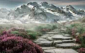 कल से पर्यटकों के लिए बंद हो जाएगी फूलों की घाटी 2 Hello Uttarakhand News »