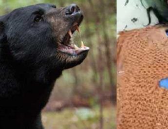 चमोली: घास लेने गई महिला पर भालू ने किया हमला, दर्दनाक मौत 4 Hello Uttarakhand News &raquo;