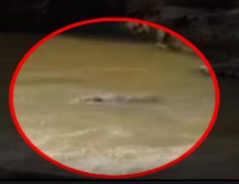 उत्तराखंड: बेटे को पति की गोद में देकर ले रही थी सेल्फी; नदी में बही, लापता 4 Hello Uttarakhand News »