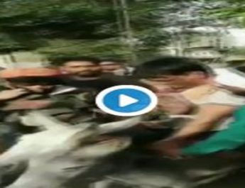 कार्यकर्ताओं ने राष्ट्रीय संयोजक और पार्टी के पूर्व राज्य प्रभारी का मुंह किया काला, गधे पर बैठकार घुमाया 2 Hello Uttarakhand News »