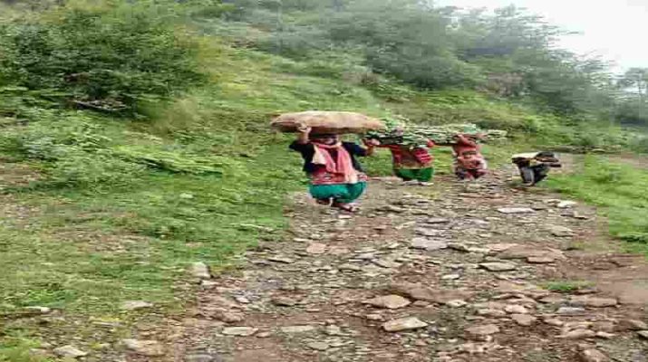 आज़ादी के 70 साल बाद भी उत्तराखंड के इस क्षेत्र में नही पहुंची सड़क, शासन-प्रशासन बेसुध 1 आज़ादी के 70 साल बाद भी उत्तराखंड के इस क्षेत्र में नही पहुंची सड़क, शासन-प्रशासन बेसुध 1 Hello Uttarakhand News »