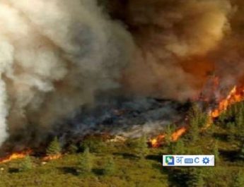 कानून के रखवालों का बवाल, पुलिस अफसरों को वकीलों ने पीटा, कई गाड़ियां फूंकीं 4 Hello Uttarakhand News »