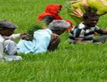 किसानों को मोदी सरकार का नए साल का तोहफा, 12 हज़ार करोड़ जारी, ऐसे मिलेगा लाभ.. 4 Hello Uttarakhand News »