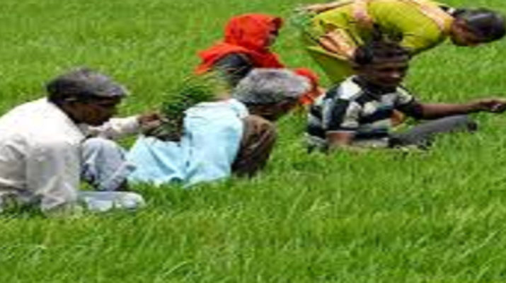 किसानों को मोदी सरकार का नए साल का तोहफा, 12 हज़ार करोड़ जारी, ऐसे मिलेगा लाभ.. 1 Hello Uttarakhand News »