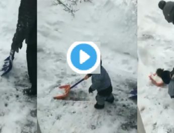 VIDEO: बर्फबारी के बीच 'मासूम' की ये खास वीडियो वायरल, 'बिग बी' ने किया रीट्वीट 3 Hello Uttarakhand News »