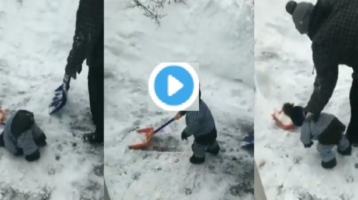 VIDEO: बर्फबारी के बीच 'मासूम' की ये खास वीडियो वायरल, 'बिग बी' ने किया रीट्वीट 1 Hello Uttarakhand News »