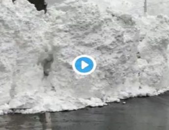 उत्तराखंड: भारी बर्फबारी से ग्लेशियर में तब्दील हुई सड़क, मार्ग सुचारू करने के लिए कड़ी मशक्कत; देखिए विडियो.. 4 Hello Uttarakhand News »