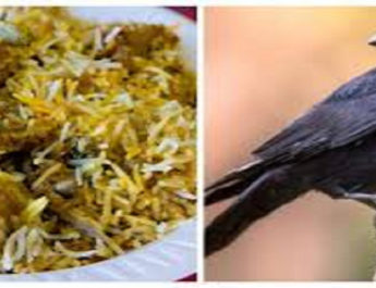 चिकन के नाम पर सस्ते में खिला रहे थे कौवा बिरयानी 4 Hello Uttarakhand News »