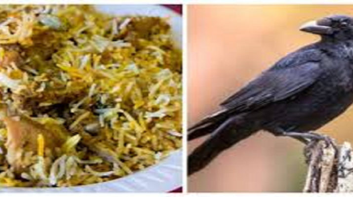 चिकन के नाम पर सस्ते में खिला रहे थे कौवा बिरयानी 1 Hello Uttarakhand News »