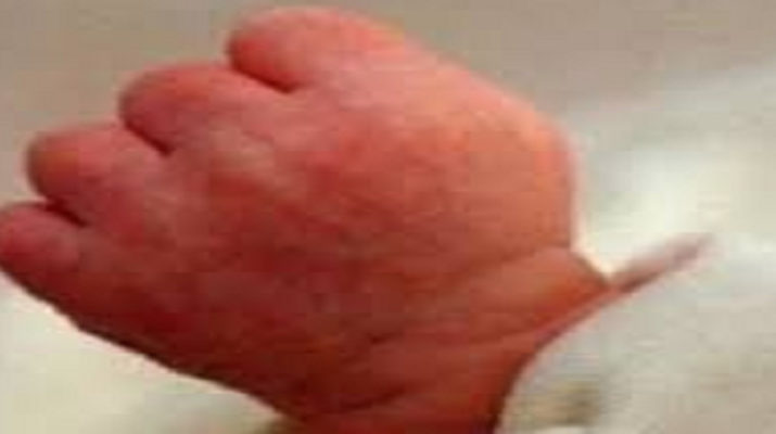 ऋषिकेश: ऑटो में रोती हुई मिली नवजात बच्ची, हालत गंभीर 1 Hello Uttarakhand News »