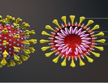 कोरोना वाइरस के चलते प्रदेश में शिक्षा विभाग का बड़ा फैसला, प्रदेश में 8वीं तक कि नहीं होगी गृह परीक्षा 3 Hello Uttarakhand News »