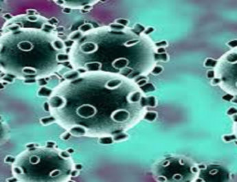 उत्तराखंड कोरोना बुलेटिन: स्वास्थ्य विभाग द्वारा जारी, दोपहर 2:30 बजे की रिपोर्ट, 37 और कोरोना पॉजिटिव 5 Hello Uttarakhand News »