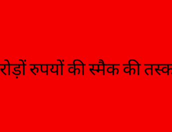 लॉक डाउन के दौरान सब्जी की आड़ में करोड़ों रुपयों की स्मैक की तस्करी 3 Hello Uttarakhand News »