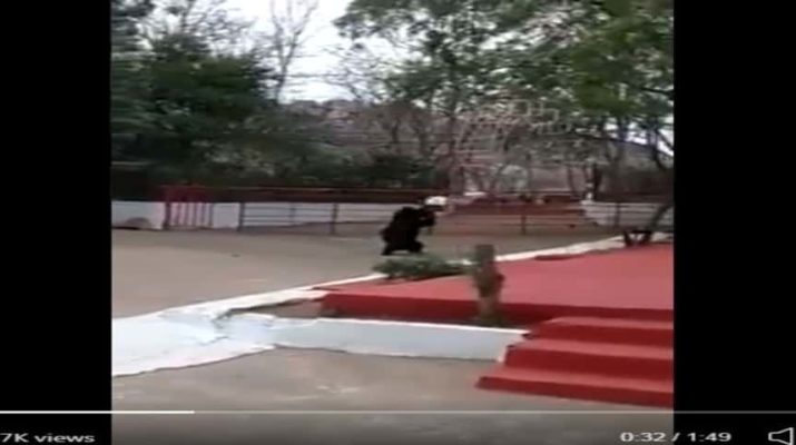 छत्तीसगढ़ के एक मंदिर में भालूों का प्रवेश, उछाले कूड़ेदान 18 Hello Uttarakhand News »