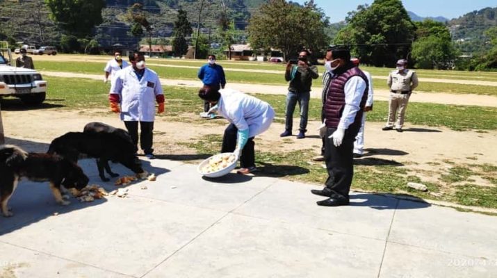 पिथौरागढ़: पशुपालन विभाग गौवंशीय व श्वान पशुओं की चारा-पानी की कर रहा है व्यवस्था 1 Hello Uttarakhand News »