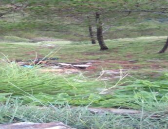 पिथौरागढ़ जिले में हुए दो बाइक एक्सीडेंट, एक लड़की सहित तीन लोग घायल 5 Hello Uttarakhand News »