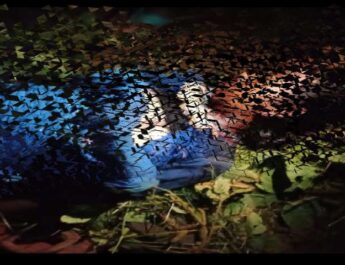 पिथौरागढ़: जिले में लगातार गुलदार का आतंक, 11 वर्षीय बच्ची को बनाया निवाला 3 Hello Uttarakhand News »