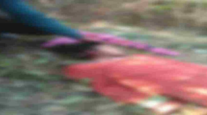 पिथौरागढ: गुलदार ने एक महिला को फिर बनाया अपना शिकाल, जंगल में घास काटने गई थी महिला 1 Hello Uttarakhand News »