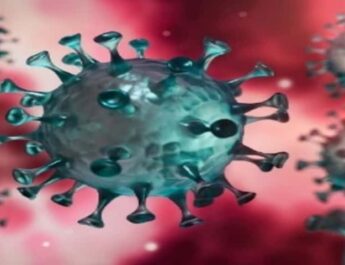 उत्तराखंड में #कोविड_19 का कहर जारी: आज 122 मरीज़ों की मौत, 7127 नए कोविड-19 मरीज, स्वास्थ हुए मरीज़ों की आज की संख्या 5748, देहरादून में 2094 कोरोना पॉजिटिव 2 Hello Uttarakhand News »