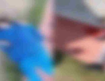 Jammu and Kashmir: School principal and teacher shot dead in Kashmir, 5 shot dead within 2 days 3 Hello Uttarakhand News »