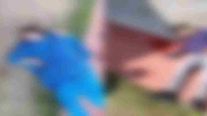 Jammu and Kashmir: School principal and teacher shot dead in Kashmir, 5 shot dead within 2 days 1 Hello Uttarakhand News »