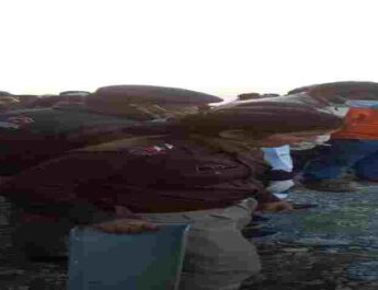 Pithoragarh: अत्यंत दुःखद: हल्द्वानी से पिथौरागढ़ जा रही कार पिथौरागढ पहुचने से आठ किलोमीटर पहले ही खाई में जा गिरी, चचेरे भाईयों की मौके पर ही दर्दनाक मौत 3 Hello Uttarakhand News »