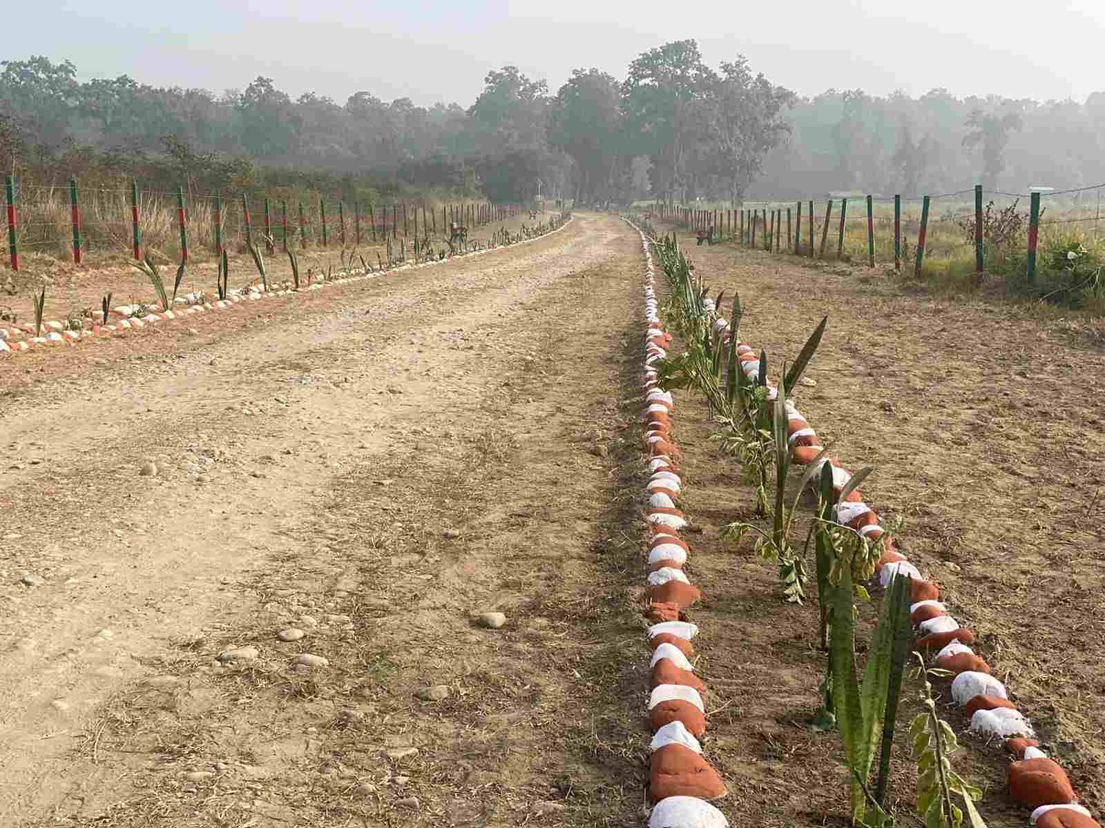 खटीमा में मुख़्यमंत्री धामी करेंगे सुरई इकोटूरिज्म जोन' में जंगल सफारी व 'ककरा क्रोकोडाइल ट्रेल' का लोकार्पण, पहली बार नेशनल पार्क और बायोस्फीयर रिजर्व क्षेत्र से बाहर अन्य क्षेत्र में संचालित होगी जंगल सफारी 3 Hello Uttarakhand News »