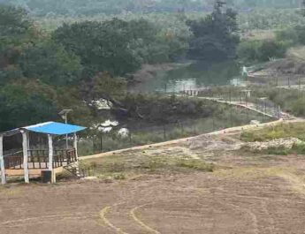 खटीमा में मुख़्यमंत्री धामी करेंगे सुरई इकोटूरिज्म जोन' में जंगल सफारी व 'ककरा क्रोकोडाइल ट्रेल' का लोकार्पण, पहली बार नेशनल पार्क और बायोस्फीयर रिजर्व क्षेत्र से बाहर अन्य क्षेत्र में संचालित होगी जंगल सफारी 2 Hello Uttarakhand News »