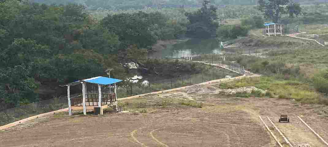 खटीमा में मुख़्यमंत्री धामी करेंगे सुरई इकोटूरिज्म जोन' में जंगल सफारी व 'ककरा क्रोकोडाइल ट्रेल' का लोकार्पण, पहली बार नेशनल पार्क और बायोस्फीयर रिजर्व क्षेत्र से बाहर अन्य क्षेत्र में संचालित होगी जंगल सफारी 2 Hello Uttarakhand News »