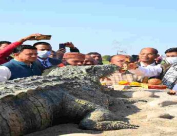 UTTARAKHAND : मुख्यमंत्री पुष्कर सिंह धामी ने खटीमा में किया ककरा क्रोकोडाइल ट्रेल का शुभारंभ, मुख्य रोड़ से खकरा क्रोकोडाइल ट्रेल को जोड़ने के लिए अधिकारियों को डीपीआर बनाए के दिए निर्देश 2 Hello Uttarakhand News »