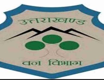 Big News: वन दरोगा ऑनलाइन 2021 परीक्षा में आज केस दर्ज, मुख्यमंत्री धामी के निर्देश पर हुई कार्रवाई 4 Hello Uttarakhand News »