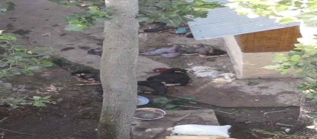 4 Terrorists Neutralised, 2 Army Personnel got martyred in Kulgam district of Anantnag in two ongoing Operations in Kashmir